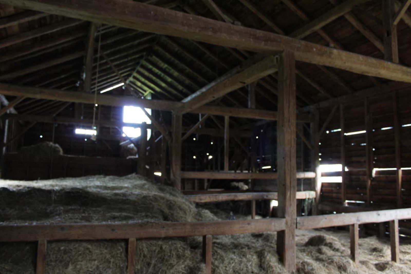 Interior of the main barn showing the truss system and divided hay mows.