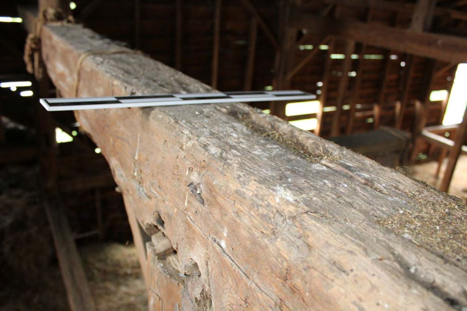 Empty mortise where a central crown post once met the rafter plate.
