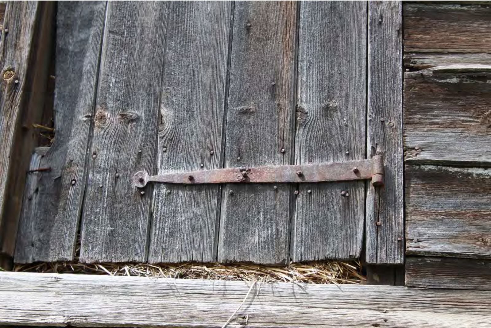 Hand-wrought strap hinge on the barn exterior.