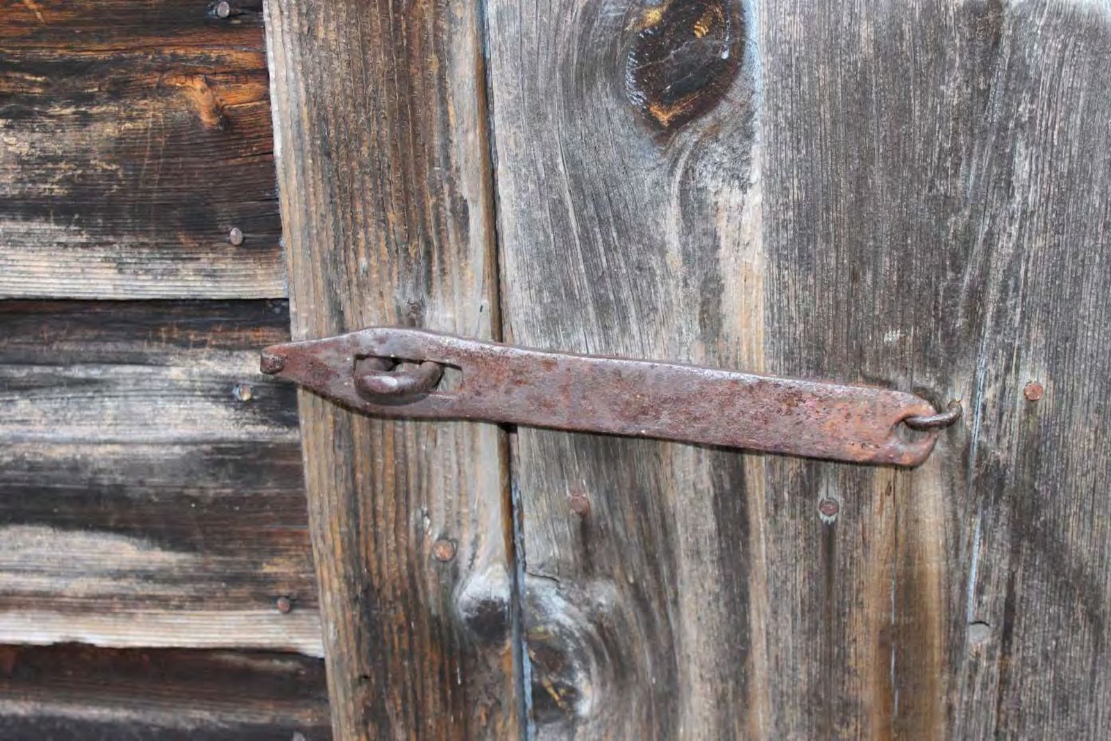 Hand-wrought latch, likely reused, on the poultry house.