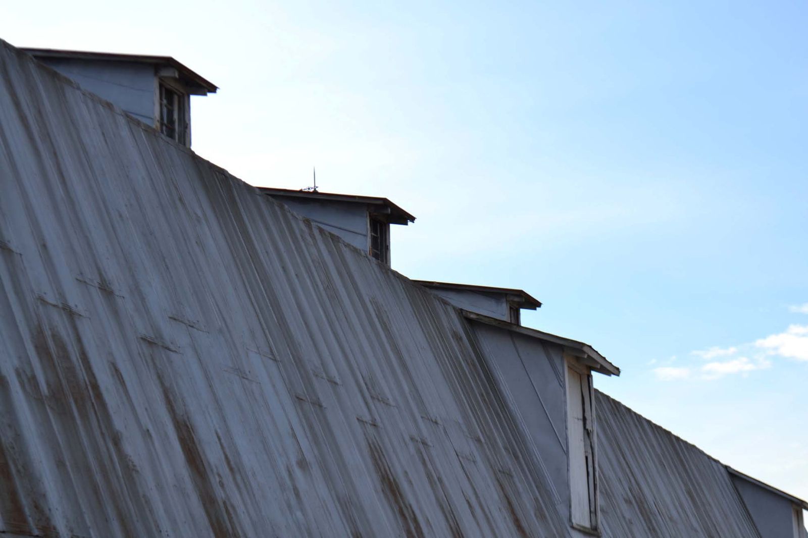 Roof dormers on the main barn.